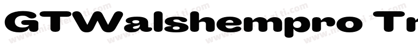 GTWalshempro Trial L字体转换
